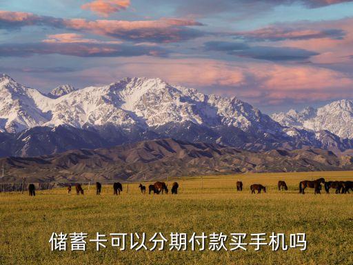  儲(chǔ)蓄卡可以分期付款買(mǎi)手機(jī)嗎