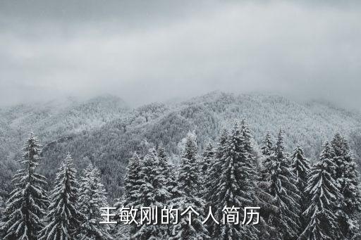 王敏剛的個(gè)人簡歷