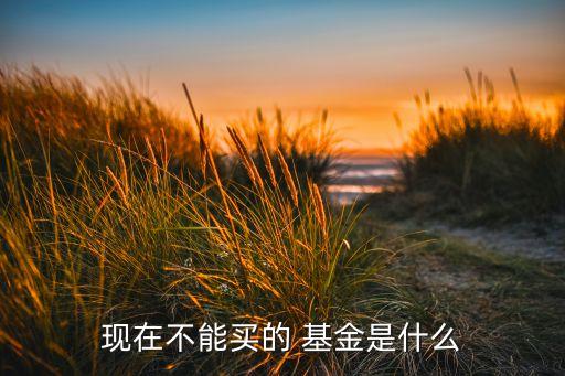 現(xiàn)在不能買(mǎi)的 基金是什么