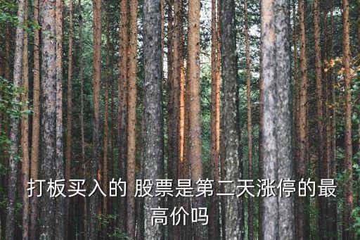  打板買入的 股票是第二天漲停的最高價嗎