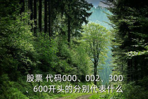  股票 代碼000、002、300、600開頭的分別代表什么