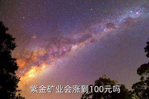  紫金礦業(yè)會漲到100元嗎