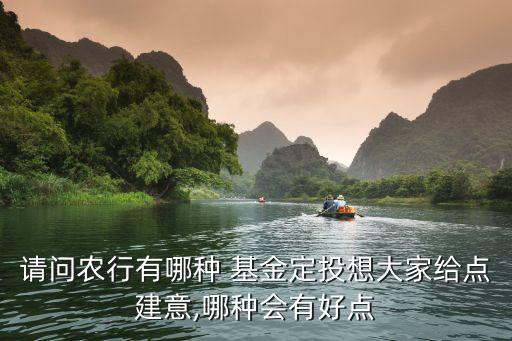 請(qǐng)問農(nóng)行有哪種 基金定投想大家給點(diǎn)建意,哪種會(huì)有好點(diǎn)