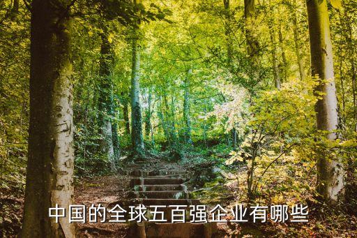 中國(guó)的全球五百?gòu)?qiáng)企業(yè)有哪些