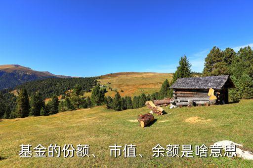  基金的份額、 市值、余額是啥意思