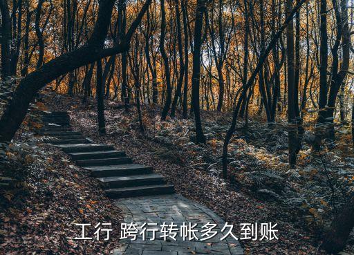 工行 跨行轉帳多久到賬