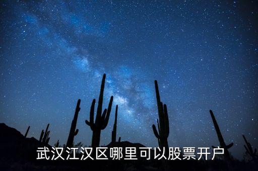  武漢江漢區(qū)哪里可以股票開(kāi)戶