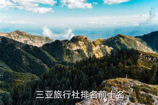 三亞大興集團