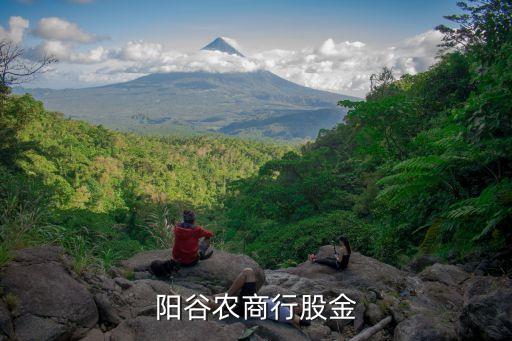 山東省農村商業(yè)銀行股票價格,重慶農村商業(yè)銀行股票601077
