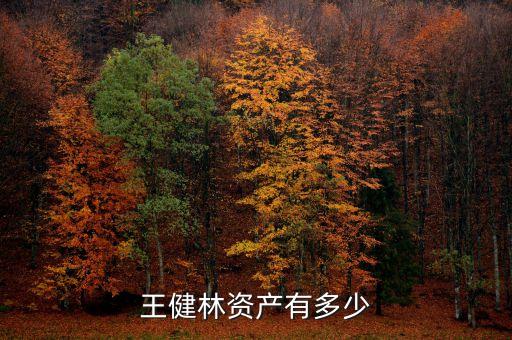 2016中國(guó)家庭凈資產(chǎn),中國(guó)家庭凈資產(chǎn)等級(jí)表