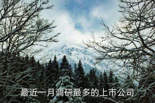 最近一月調研最多的上市公司