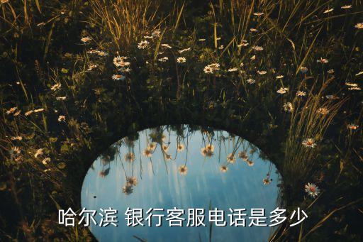 哈爾濱銀行互聯(lián)網金融事業(yè)部,傳統(tǒng)銀行如何應對互聯(lián)網金融挑戰(zhàn)