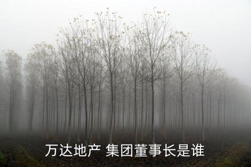 萬達地產 集團董事長是誰