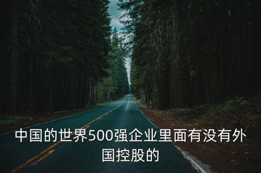 中國的世界500強(qiáng)企業(yè)里面有沒有外國控股的