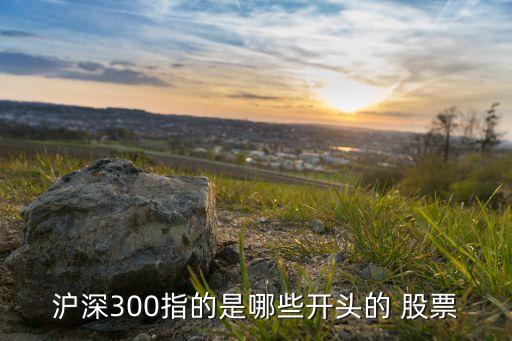 滬深300指的是哪些開(kāi)頭的 股票