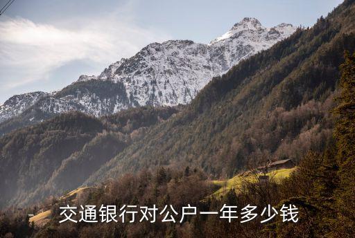  交通銀行對公戶一年多少錢