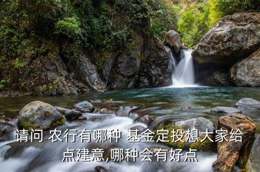 請問 農(nóng)行有哪種 基金定投想大家給點建意,哪種會有好點