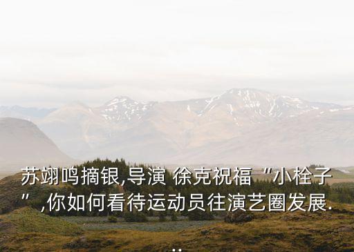 蘇翊鳴摘銀,導(dǎo)演 徐克祝?！靶∷ㄗ印?你如何看待運動員往演藝圈發(fā)展...