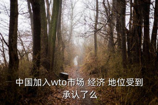 中國加入wto市場 經濟 地位受到 承認了么