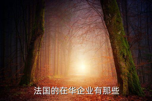 法國(guó)外貿(mào)銀行2016