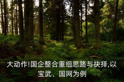 寶鋼集團規(guī)劃發(fā)展部,中國寶鋼集團的行業(yè)發(fā)展現狀