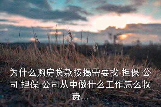 為什么購(gòu)房貸款按揭需要找 擔(dān)保 公司 擔(dān)保 公司從中做什么工作怎么收費(fèi)...