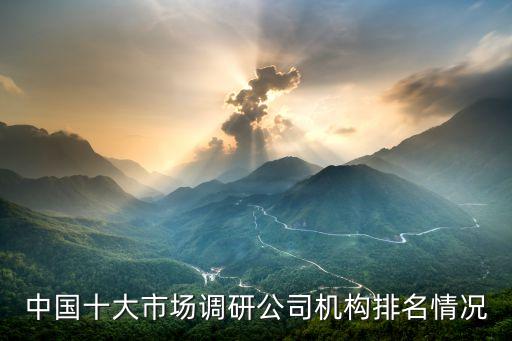 中國十大市場(chǎng)調(diào)研公司機(jī)構(gòu)排名情況