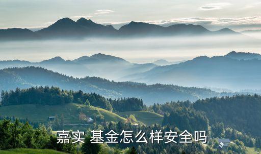 嘉實(shí)驅(qū)動(dòng)股票基金001416,嘉實(shí)智能汽車(chē)股票基金怎么樣