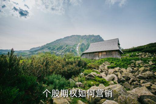 個(gè)股期權(quán)如何營(yíng)銷