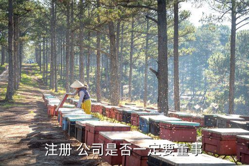 注冊(cè) 公司是否一定要董事