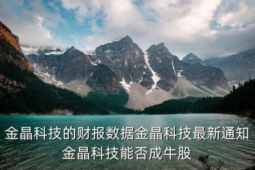 金晶科技的財報數(shù)據(jù)金晶科技最新通知金晶科技能否成牛股