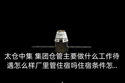 中集集團上海寶山土地新聞