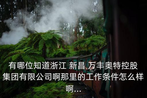 有哪位知道浙江 新昌 萬豐奧特控股集團有限公司啊那里的工作條件怎么樣啊...