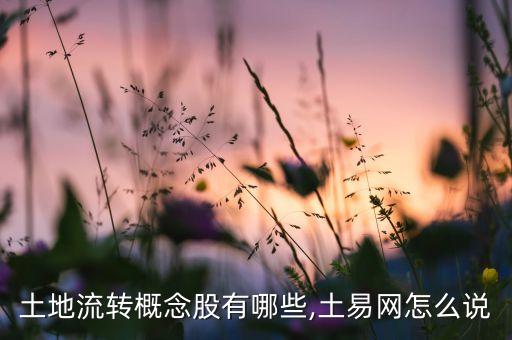 土地流轉概念股有哪些,土易網(wǎng)怎么說