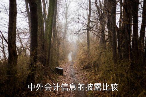 中外會(huì)計(jì)信息的披露比較