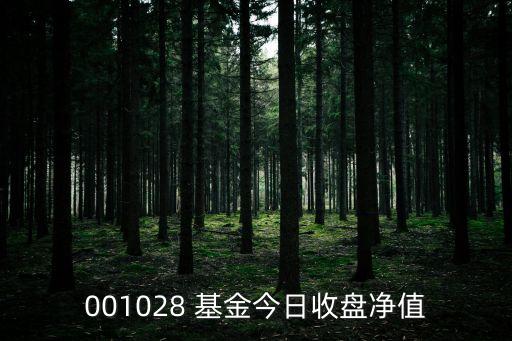 中國物聯網產業(yè)投資基金