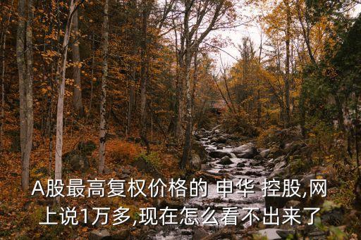 A股最高復權價格的 申華 控股,網(wǎng)上說1萬多,現(xiàn)在怎么看不出來了