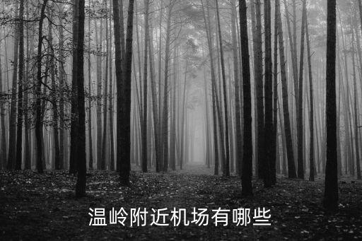 新昌萬(wàn)豐的股票