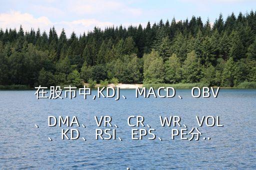 在股市中,KDJ、MACD、OBV、DMA、VR、CR、WR、VOL、KD、RSI、EPS、PE分...