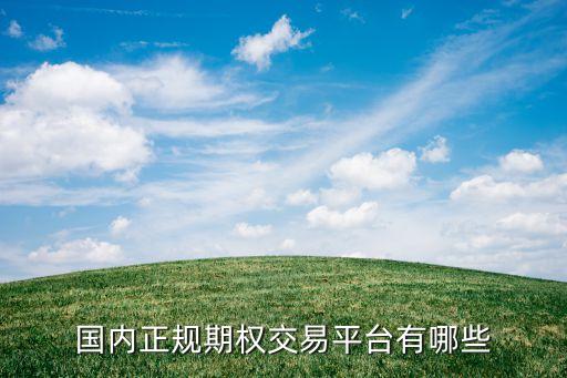 國內正規(guī)期權交易平臺有哪些