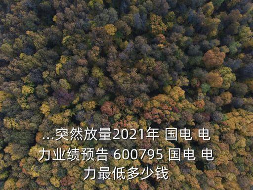 ...突然放量2021年 國(guó)電 電力業(yè)績(jī)預(yù)告 600795 國(guó)電 電力最低多少錢(qián)