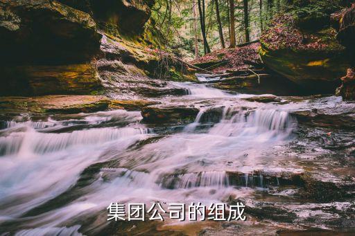 四級(jí)子公司,國企四級(jí)子公司