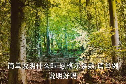 簡單說明什么叫 恩格爾系數(shù),請(qǐng)舉例說明好嗎