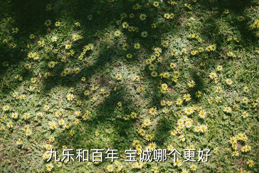 寶誠(chéng)保險(xiǎn)銷(xiāo)售有限公司溫州分公司,美華保險(xiǎn)銷(xiāo)售有限公司怎么樣