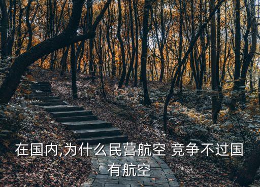 航空公司的競(jìng)爭(zhēng)