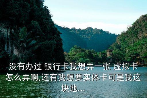 沒(méi)有辦過(guò) 銀行卡我想弄一張 虛擬卡怎么弄啊,還有我想要實(shí)體卡可是我這塊地...