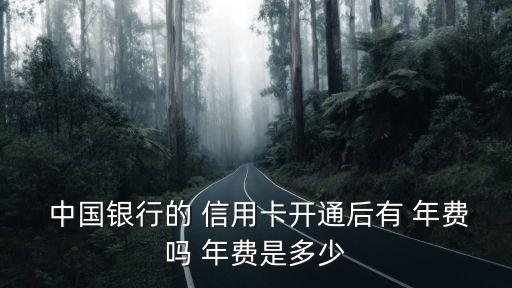  中國銀行的 信用卡開通后有 年費嗎 年費是多少