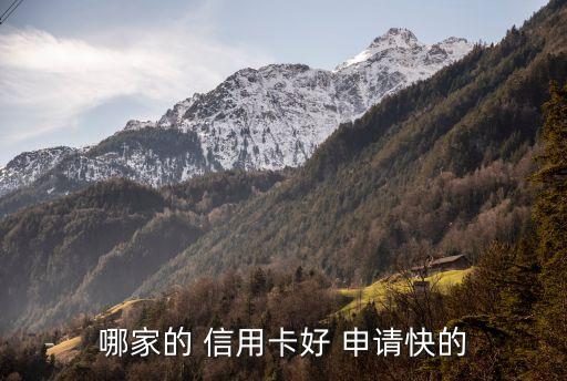網(wǎng)上信用卡申請(qǐng)哪個(gè)銀行好發(fā)卡,初次申請(qǐng)信用卡哪個(gè)銀行容易通過(guò)