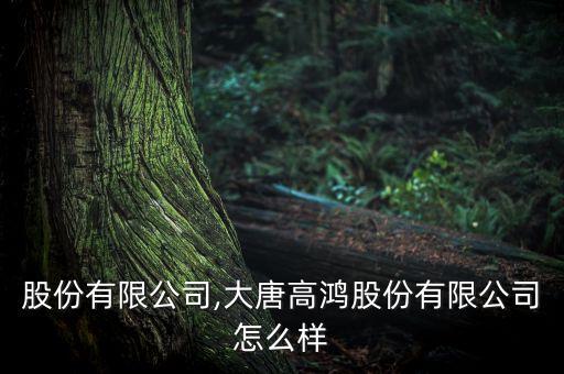 高鴻股份有限公司,大唐高鴻股份有限公司怎么樣