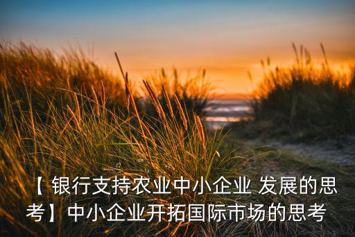 【 銀行支持農業(yè)中小企業(yè) 發(fā)展的思考】中小企業(yè)開拓國際市場的思考